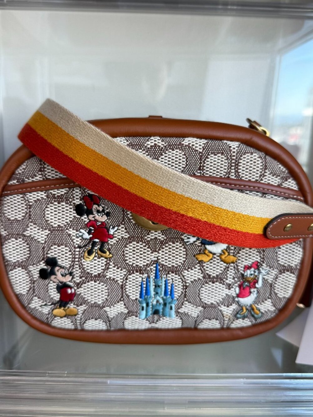 Coach X Disney 50th Anniversary Crossbody Camera Bag NWT